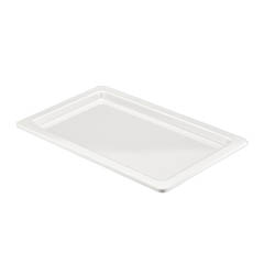 Biradlı 1/1 Küvet, Açık Büfe Sunum Tepsisi, 53x32,5x3 cm