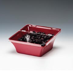 Zicco Kapaklı Zeytinlik, 22x22x8-11 cm