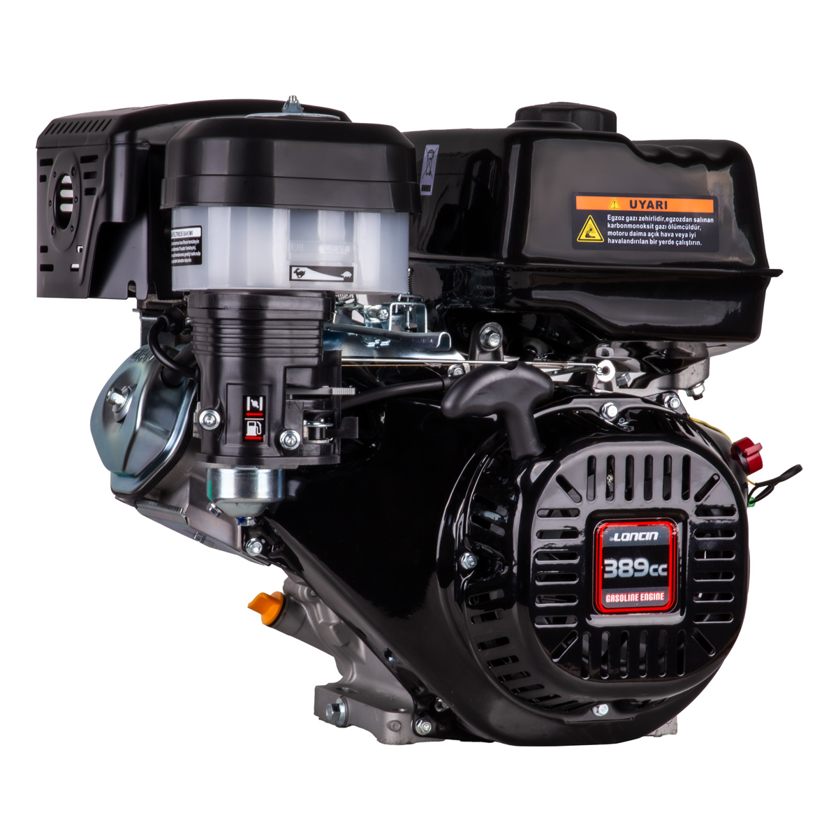 G390F-A EUR5 Benzinli Motor 13HP İpli