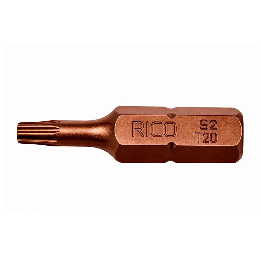 RICO T20 Torx Bits Uç Mıknatıslı 25 mm