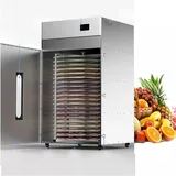 Dalle Döner Tepsili 500 kg Kapasiteli Endüstriyel Gıda Meyve Sebze Kurutucu - Görsel 1