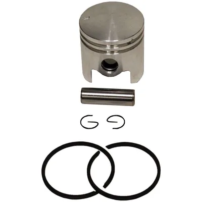 Palmera 3WZ-6 Piston Segman Set 31 mm WZ623143