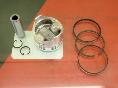Piston Segman Set Std 73 mm 173F 5,5 Hp 73-1701200