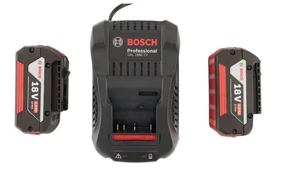 Bosch Profesionel Akü Seti 18V GAL 1880 CV + 2x GBA 18V 5.0Ah