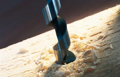 Bosch - Ahşap için Yılan Matkap Ucu