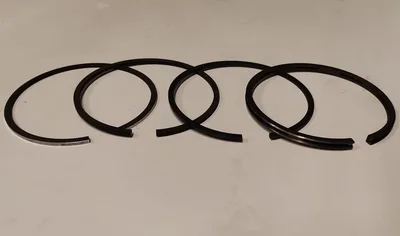 Lombardini SegmanTakımı Std 65 mm L0000008