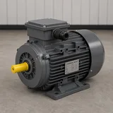 DRG 1 Fazlı Asenkron Elektrik Motorları - Görsel 1