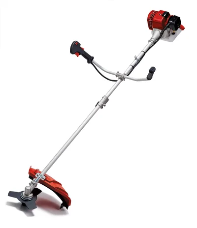 Einhell GC-BC 25/1 I AS