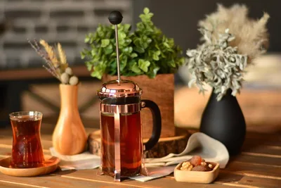 HOLMES FRENCH PRESS 350 ML