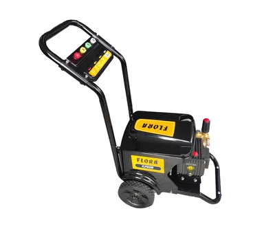 Flora PW 200 Basınçlı Yıkama Makinası