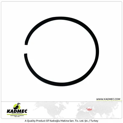 42 MM Segman FS450