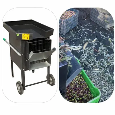 Kadıoğlu ZY100 Zeytin Yaprağı Ayırma Makinesi