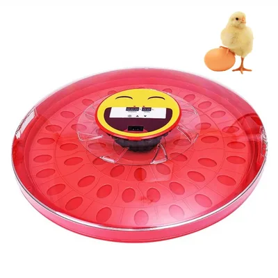 Kadmec KM52 52 Yumurtalı Kuluçka Makinesi