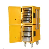 Avatherm 600M Double Thermobox,Sarı - 1