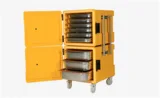 Avatherm 600x2 Double Thermobox, Sarı - 1