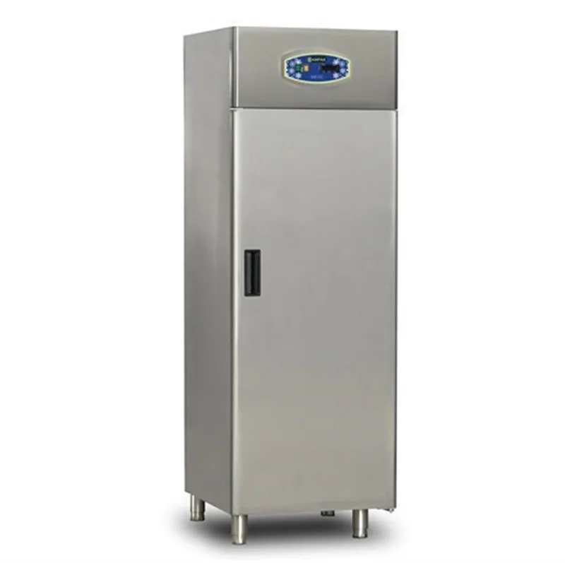 Dampak Tek Kapılı Dik Tip Statik Buzdolabı 69X82X210 22DBS1S-GN