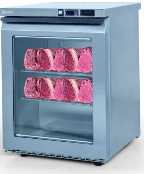 Iceinox Dry Aged Buzdolabı 1 Kapılı 60x64x83 cm DAG 140