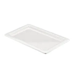 Biradlı 1/1 Küvet, Açık Büfe Sunum Tepsisi, 53x32,5x3 cm