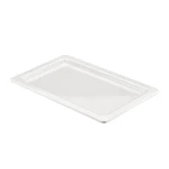 Biradlı 1/1 Küvet, Açık Büfe Sunum Tepsisi, 53x32,5x3 cm