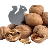 Cancan Ceviz Açacağı - Görsel 1