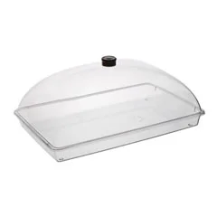 Corona Professional Kristal Fanus Köşeli Takım, BO334