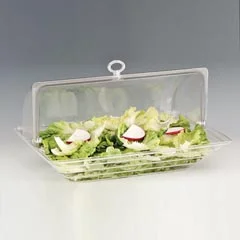 Zicco Muhafaza Kabı, Polikarbon Roll Top Kapaklı, 43,5x28,5 cm (ZCP.264+ZCP.426.1)