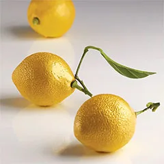 Pavoni AF006S Citrons Cedric Grolet Limon Silikon Kalıp, 30x17,5 cm