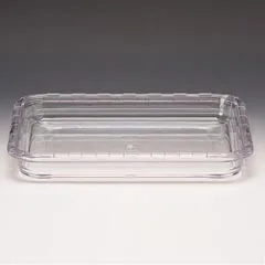 Zicco Polikarbon Meze Kabı, 32,5x26,5x4,5 cm, Şeffaf