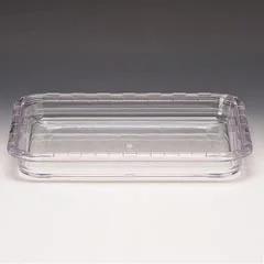 Zicco Polikarbon Meze Kabı, 32,5x26,5x4,5 cm, Şeffaf