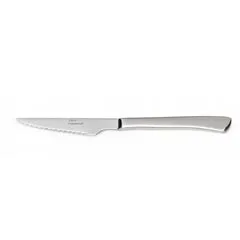 Zicco Steak Bıçağı, Çelik Saplı, 22 cm