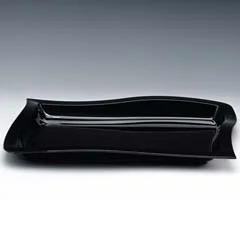 Zicco Polikarbon Teşhir Kabı, 45x30 Cm, Siyah