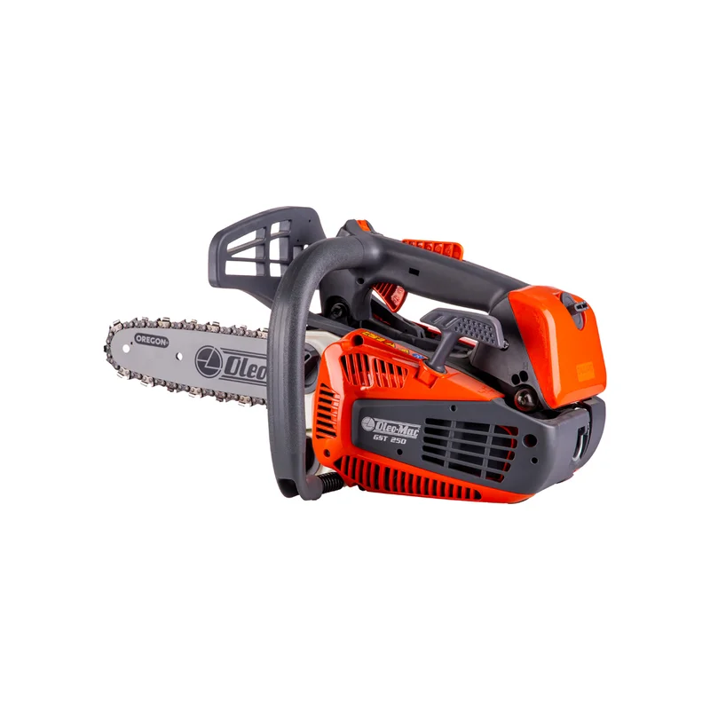 Gst 250 EUR5 Motorlu Testere