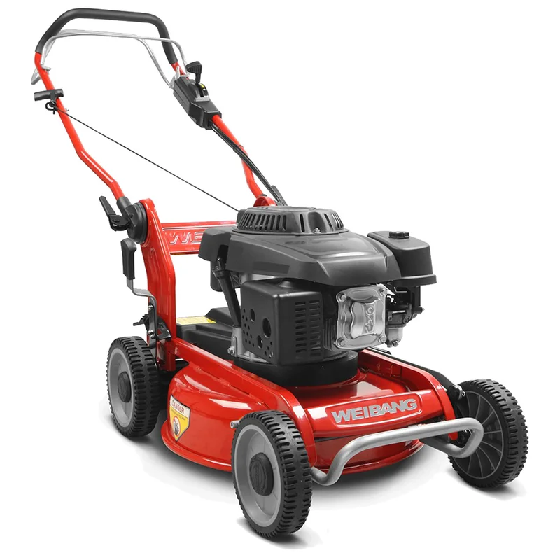 Wb466sc-m EUR5 Çim Biçme Makinesi Malçlamalı Şanzımanlı Loncın 1P65FA