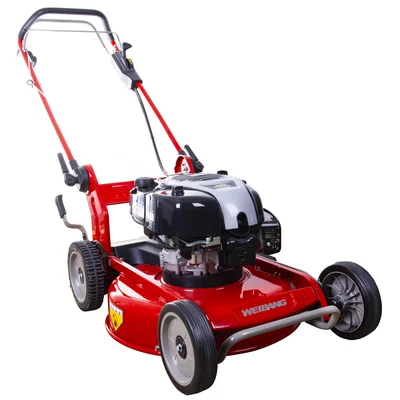 Wb536sb-m-dov EUR5 Çim Biçme Makinesi Malçlamalı Şanzımanlı B&s 750