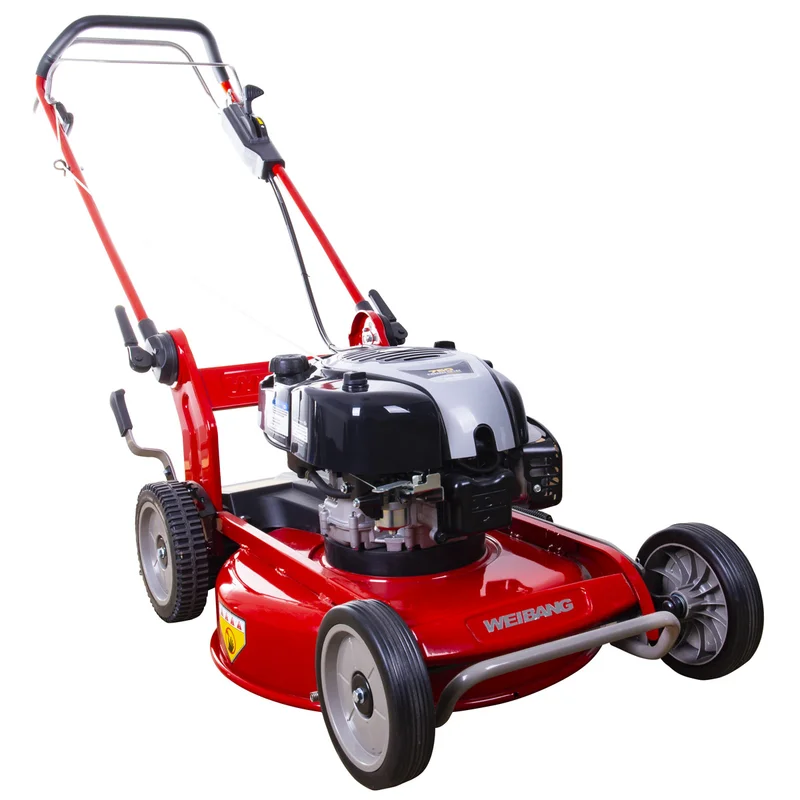 Wb536sb-m-dov EUR5 Çim Biçme Makinesi Malçlamalı Şanzımanlı B&s 750