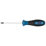 BOSCH T25 Torx Uçlu Tornavida Delikli Pro100 mm - Görsel 1