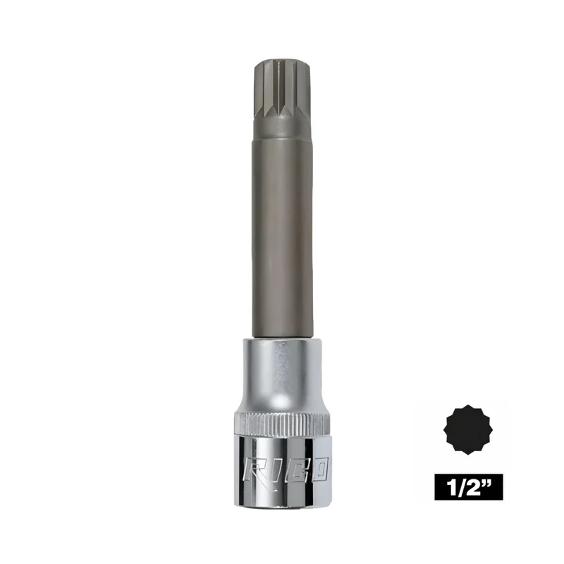 RICO 1/2 M12 Lokmalı Bits Uç Uzun 100 mm