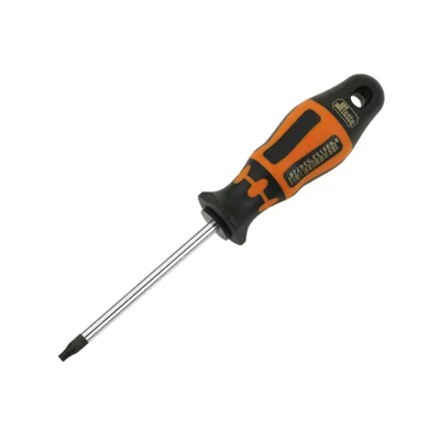 Retta Rxt1010 Torx Uç Delikli Tornavida T10x80 Mm - 12'li Paket