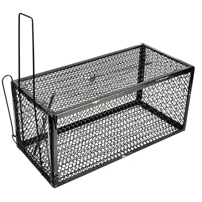 Mouse Trap Fare Kapanı (24x11x11) - 12'li Paket