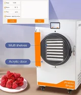 Dalle DFD-20 Yüksek Teknolojili Freeze Dryer Dondurarak Kurutma Fırını - Liyofilizatör - Görsel 3