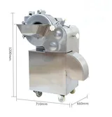 Dalle JQ-100 Endüstriyel Elektrikli Multi Fonksiyonlu Meyve Sebze Dilimleme Makinası 600 Kg/Saat - Görsel 4