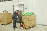 BT Quick Lifter / Tartılı - Görsel 3