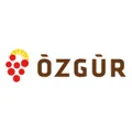 Meyve Kurutma Fırınları - Görsel 7