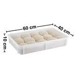 GastroPlast GPHPE-100 Polietilen Pizza Hamur Teknesi, 400x600x100 mm - Görsel 3