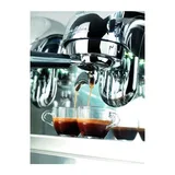 Victoria Arduino Adonis Style Core Espresso Kahve Makinesi, 2 Gruplu, Metalik - Görsel 3