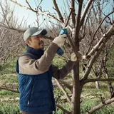 Bosch Professional Pro Pruner (Solo) Bahçe Makası - Görsel 3