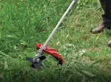 Einhell GC-BC 25/1 I AS - Görsel 2