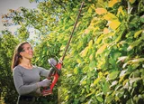 Einhell GP-CH 18/61 Li BL-Solo - Görsel 4