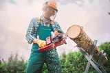 Einhell GP-LC 36/35 Li-Solo - Görsel 4
