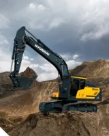 Hyundai HX220A-L Paletli Ekskavatör - Görsel 3
